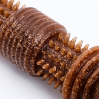 Игрушка для собак "Шипастая кость", TPR+Бамбук, массажная,14 х 3,5 х 5 Игрушка для собак "Шипастая кость", TPR+Бамбук, массажная,14 х 3,5 х 5