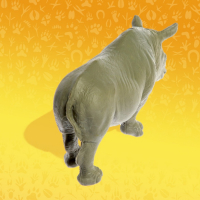 Набор животных «Звери Африки», 4 фигурок Набор животных «Звери Африки», 4 фигурок