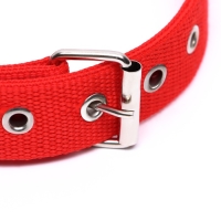Ошейник двухслойный с вертлюгом, 55 х 2,5 см, полиэстер, красный Ошейник двухслойный с вертлюгом, 55 х 2,5 см, полиэстер, красный
