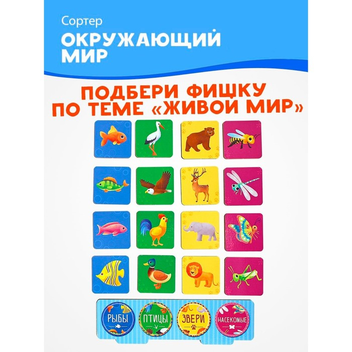 Развивающая игра &laquo;Сортер: Окружающий мир&raquo; 32 фишки