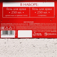 Новогодний подарочный набор косметики &laquo;Крутой мужик&raquo;, гель для душа во флаконе виски 250 мл и гель для душа во флаконе кока-колы 250 мл, Новый Год