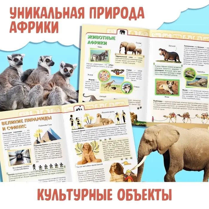 Энциклопедия детская &laquo;Африка&raquo;, 16 стр., 5+