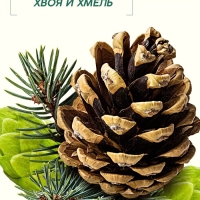 Мужской шампунь 2 в 1, 400 мл