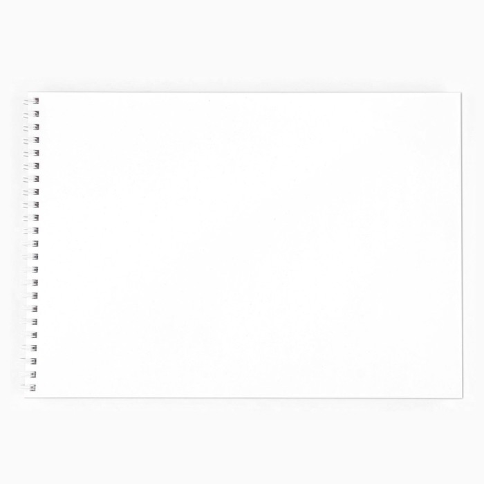 Альбом для рисования 40 листов А4 на пружине &laquo;Пантера&raquo; обложка 200 г/м&sup2;, бумага 100 г/м&sup2;.