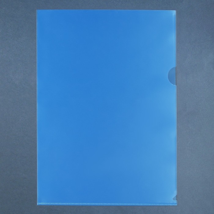 Набор папок-уголков А4, 100 мкм, Calligrata Выгодные, прозрачные, 5 штук, микс Набор папок-уголков А4, 100 мкм, Calligrata Выгодные, прозрачные, 5 штук, микс