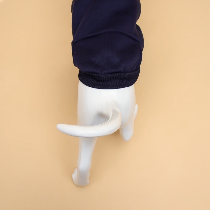 Толстовка для животных с капюшоном, размер XS (ДС 30 см). Синяя