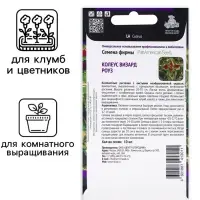 Семена цветов Колеус Визард Роуз, 10шт