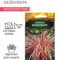 Семена цветов Ковыль "Фейерверк", 5 шт.