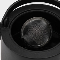 Чайник для плиты с эмалированным покрытием внутри Magma &laquo;Сайгон&raquo;, 1,1 л, чугун, с ситом, индукция, цвет чёрный