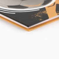 Дневник школьный 5-11 класс, в твердой обложке, 48 л. &laquo;1 сентября: Football&raquo;