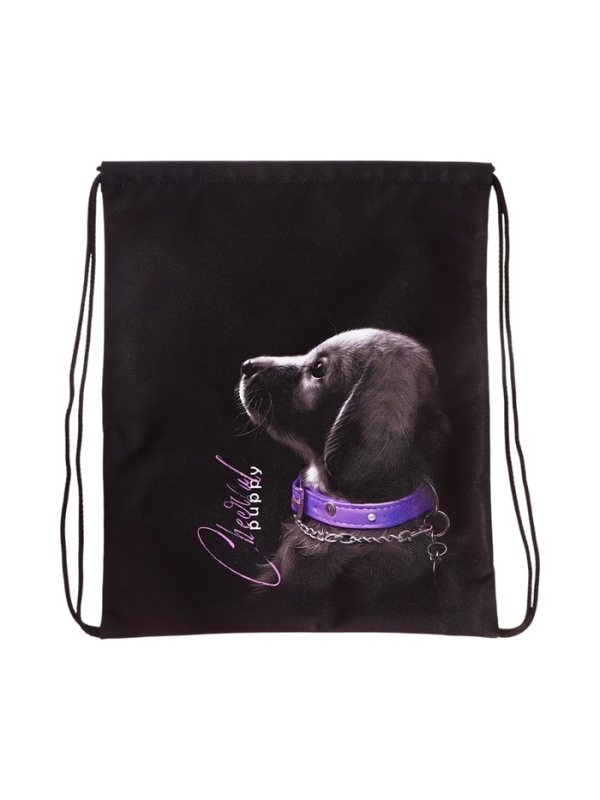 Мешок для обуви, 435&times;360 мм, Stavia (плотность 600D) &laquo;Собачка&raquo;