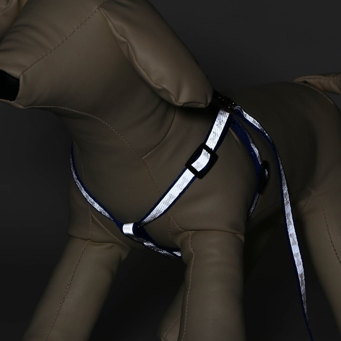 Комплект светоотражающий "Косточки",поводок 1 х 120 см,(ОШ 28-36 см,ОГ 28-36 см) синий