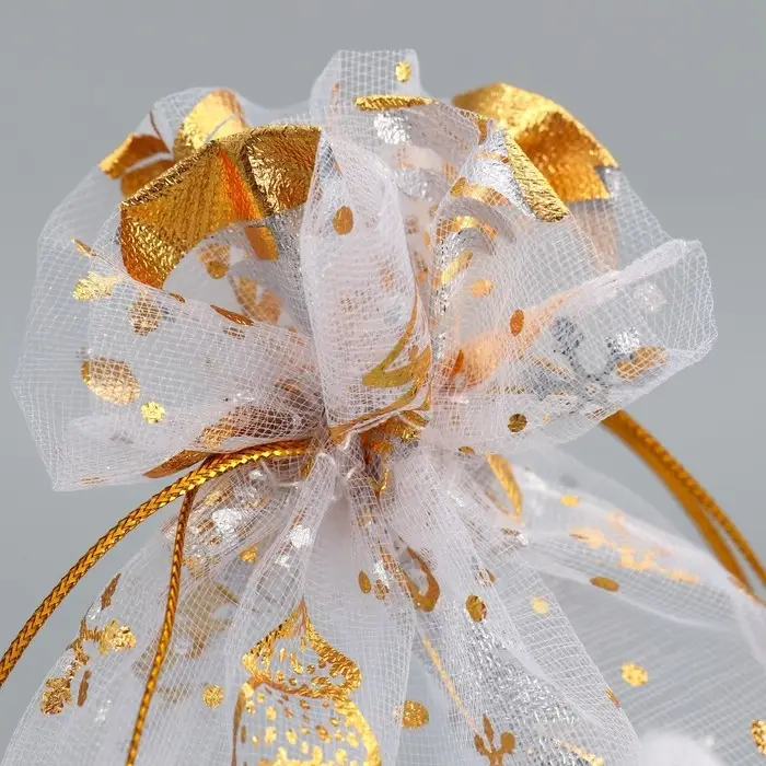 Набор мешков &laquo;С Новым счастьем!&raquo;, органза, 10 шт, 16 х 24 см