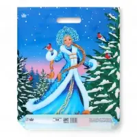 Пакет &laquo;Сказочная гостья &raquo;, полиэтиленовый с вырубной ручкой, 45&times;38 см