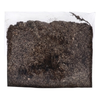 Флокс "Юник Оранж" р-р I, 2 шт, Весна 2025, ЭКОНОМ,