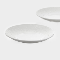 Набор тарелок 2 шт Magistro Fray 23х4 см