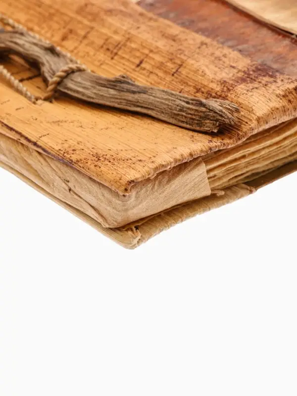 Фотоальбом "Экзотическая рыбка" 10 листов, 19х19х2 см