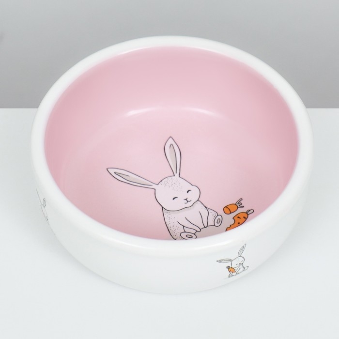 Миска керамическая для кроликов 200 мл  10 х 3,7 см, розовая/белая