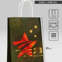 Пакет подарочный крафт &laquo;С 23 Февраля!&raquo; 18&times;8&times;25 См