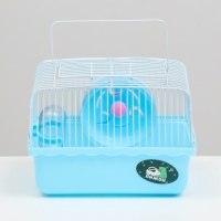Клетка для грызунов "Пижон", 23 х 17 х 17 см, голубая Клетка для грызунов "Пижон", 23 х 17 х 17 см, голубая