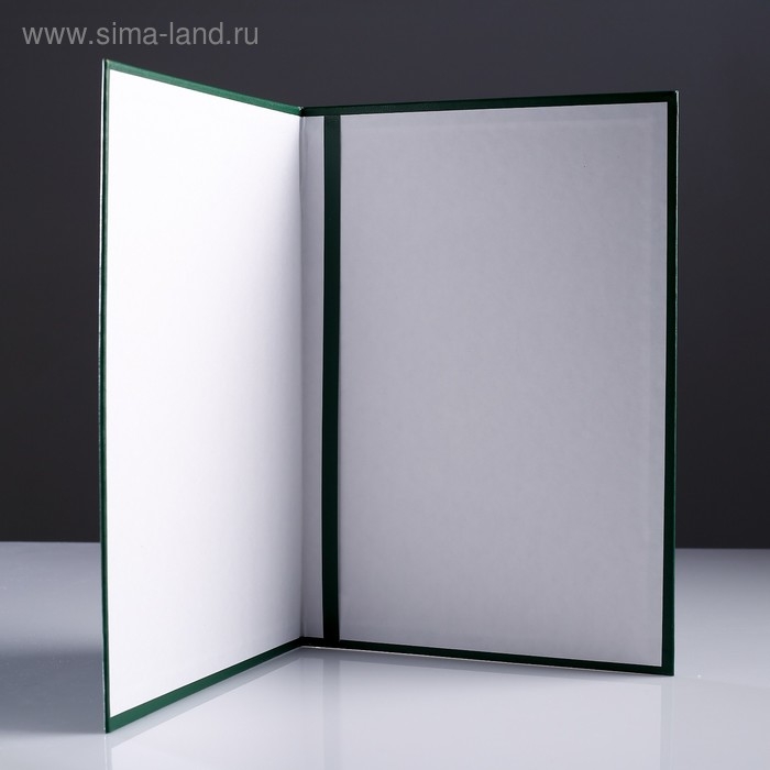 Папка адресная Папка адресная "Герб" бумвинил, мягкая, зелёный, А4