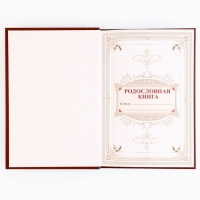 Подарочный набор родословная книга в шкатулке &laquo;Новый год: Дед мороз&raquo;