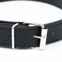 Ошейник из искусственной кожи с шильдом под гравировку, 2,5 х 52 см, ОШ 35-45 см, чёрный Ошейник из искусственной кожи с шильдом под гравировку, 2,5 х 52 см, ОШ 35-45 см, чёрный