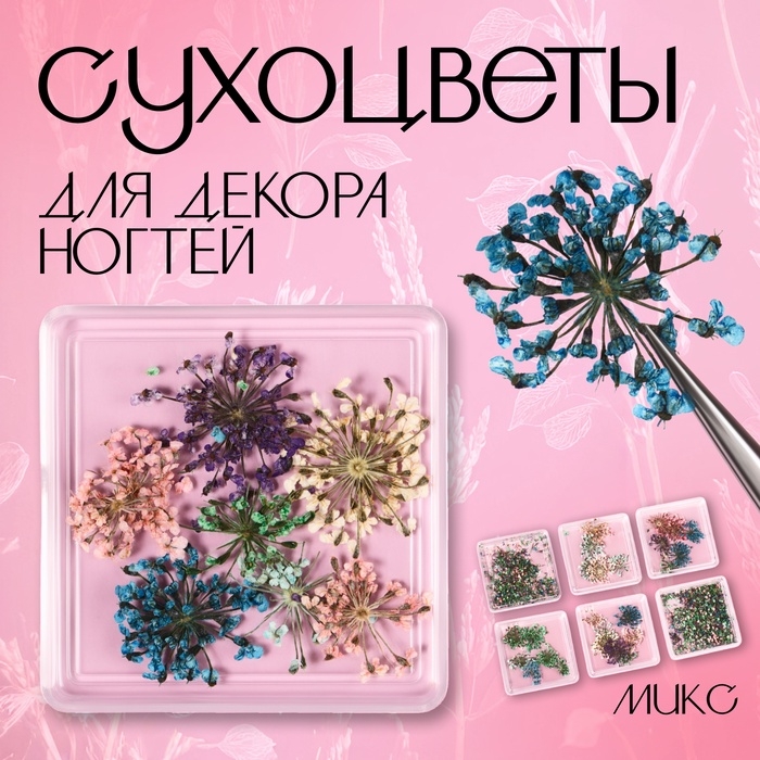 Сухоцветы для декора ногтей, в футляре, вид МИКС Сухоцветы для декора ногтей, в футляре, вид МИКС