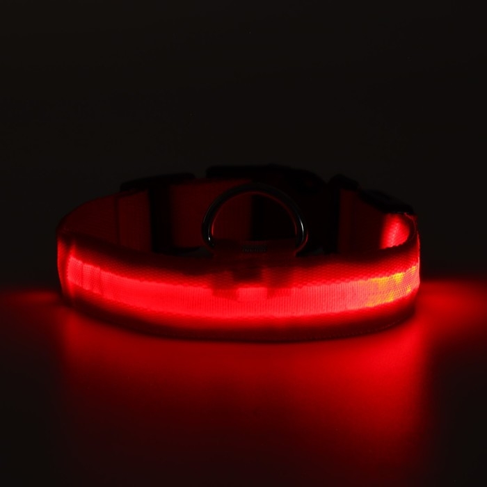 Ошейник с подсветкой размер L, ОШ 45-52 х 2,5 см, 3 режима свечения красный