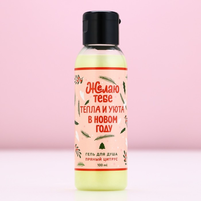 Гель для душа &laquo;Тепла и уюта в Новом Году!&raquo;, 100 мл, аромат пряного цитруса, ЧИСТОЕ СЧАСТЬЕ