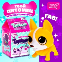Игрушка-сюрприз &laquo;Твой питомец Тимми&raquo;, МИКС