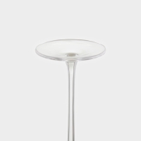 Бокал для шампанского &laquo;Орион&raquo;, 300 мл, 7&times;27,5 см, стекло