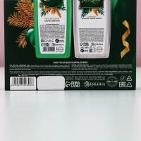 Подарочный набор косметики &laquo;Мечты обязательно сбудутся&raquo;, гель для душа и шампунь для волос, 2 х 250 мл, Новый Год