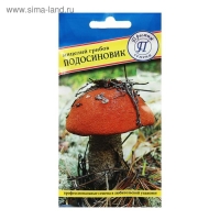 Мицелий гриб Подосиновик, 50 мл Мицелий гриб Подосиновик, 50 мл