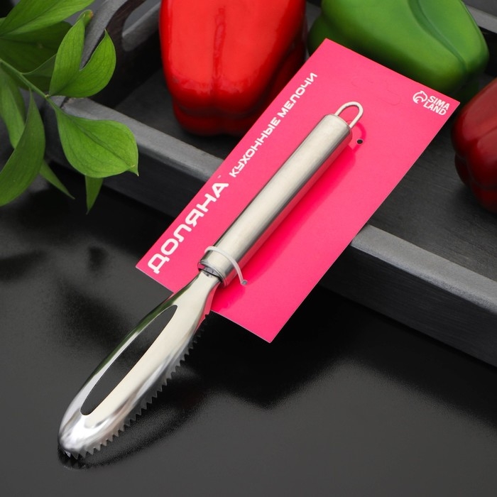 Рыбочистка Доляна &laquo;Металлик&raquo;, 16,5 см, цвет серебристый