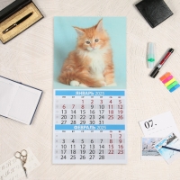Календарь перекидной на скрепке "Весёлые котята" 2025 год, 6 листов, 29х29 см Календарь перекидной на скрепке "Весёлые котята" 2025 год, 6 листов, 29х29 см