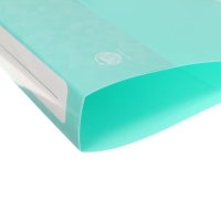 Папка на 2 кольцах А4 Calligrata, 40мм, 700мкм, карман на торце, ледяной зеленый