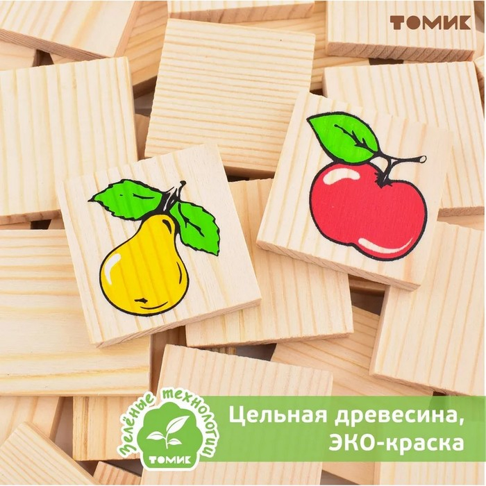 Лото &laquo;Растительный мир&raquo;