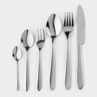 Столовые приборы из нержавеющей стали &laquo;Стандарт&raquo;, картонная коробка, толщина 2 мм, 36 предметов, цвет серебряный