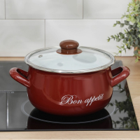 Кастрюля эмалированная &laquo;Бордо&raquo;, 3,1 л, индукция, цвет бордовый