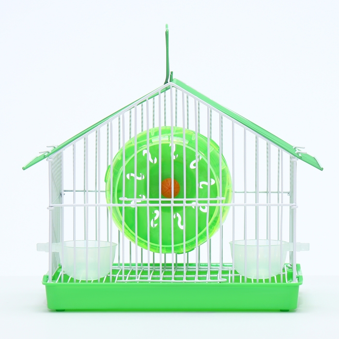 Клетка для грызунов укомплектованная RT-2t, 22 х 16 х 20 см, зелёная (фасовка 30 шт)