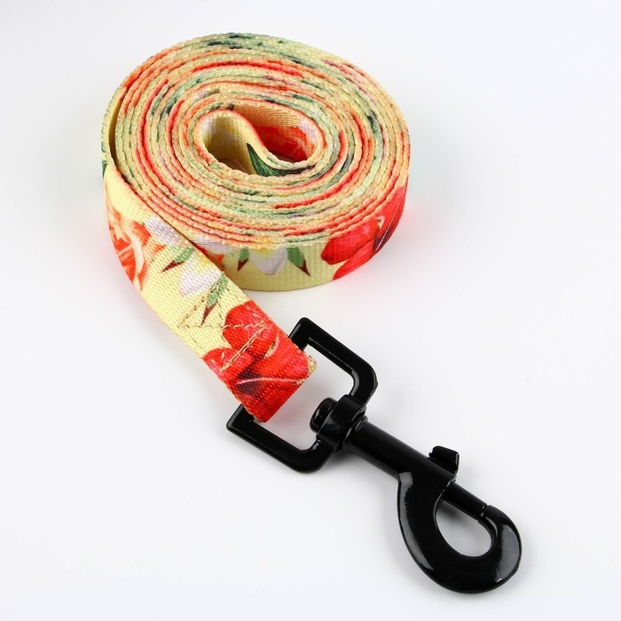 Набор &laquo;Цветы&raquo;, застёжка - фастекс, поводок 2 м и ошейник 28-46 см