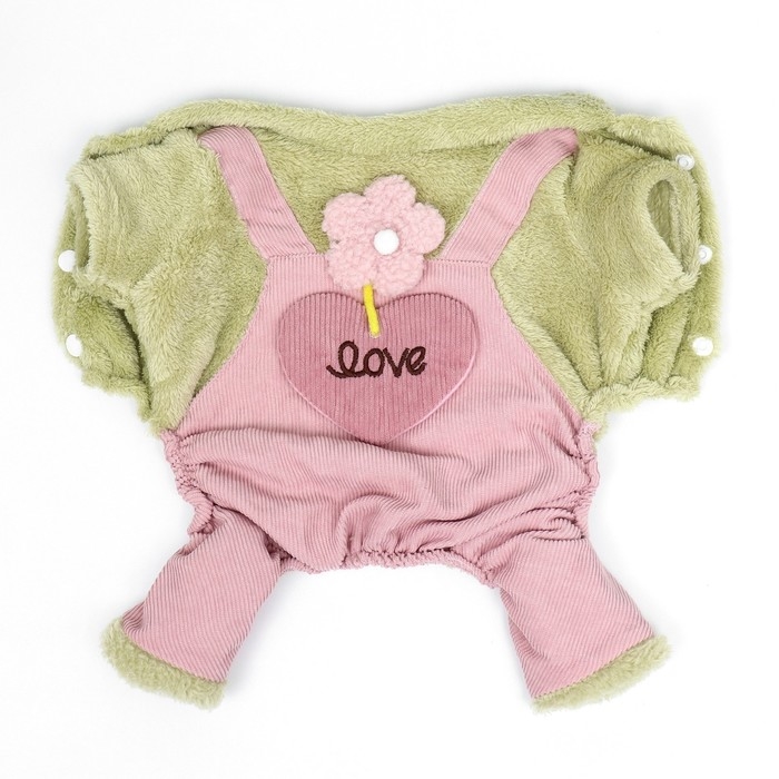 Комбинезон Комбинезон "Love", размер S (ДС 25 см, ОГ 35 см, ОШ 25 см), зелёный/розовый