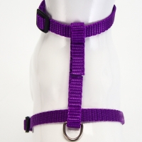 Комплект для кошек, ширина 1 см, ОШ 16,5-27 см, ОГ 21-35 см, поводок 120 см, фиолетовый