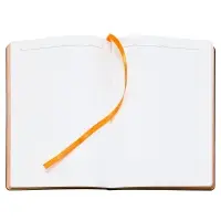 Ежедневник Bookmark, недатированный, черный с оранжевым