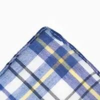 Платки носовые мужские Экономь и Я "Квадрат" 38*38 см, (набор 10 шт), рис. МИКС,100% пэ