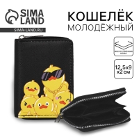 Кошелёк молодёжный &laquo;Утята&raquo; 12х9.5х2см
