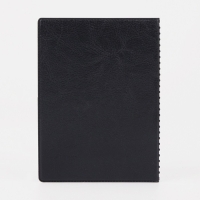 Обложка для автодокументов, цвет чёрный Обложка для автодокументов, цвет чёрный