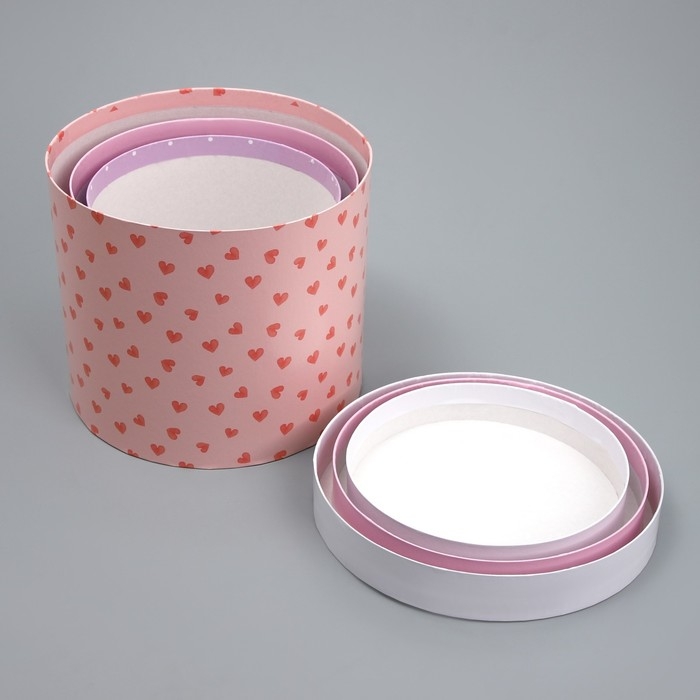 Набор шляпных коробок 3 в 1, упаковка подарочная, «Букетики», 16 х 16 х 14‒20 х 20 х 17 см Набор шляпных коробок 3 в 1, упаковка подарочная, «Букетики», 16 х 16 х 14‒20 х 20 х 17 см