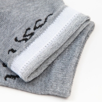 Носки женские, цвет светло-серый, размер 23-25 Носки женские, цвет светло-серый, размер 23-25